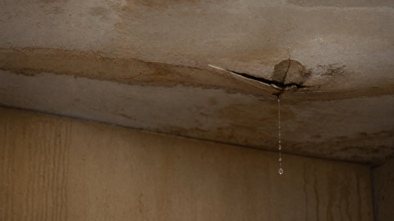 Why Prompt Roof Repairs Save You Money in the Long Run
